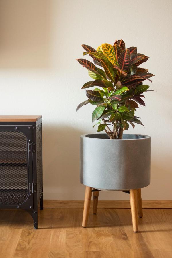 City Garden Apartment ポレッチ エクステリア 写真