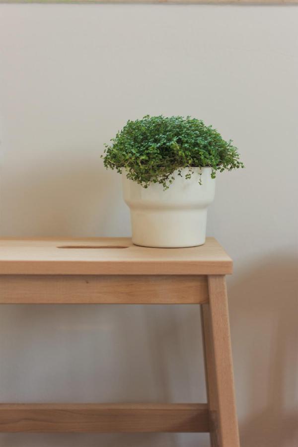 City Garden Apartment ポレッチ エクステリア 写真